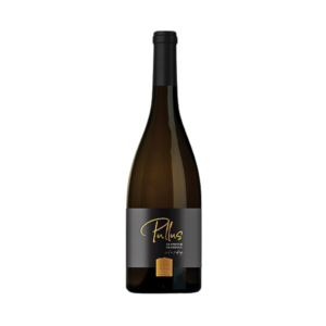 Traminer - Pullus